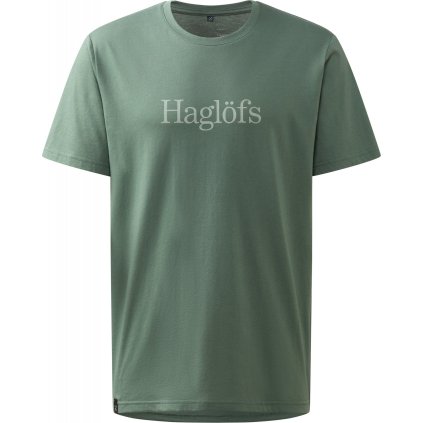 Pánské funkční triko Haglöfs Outsiders - zelená (Velikost S)