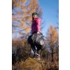 Turistický batoh HUSKY Campus 30l černý (Velikost OneSize)