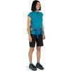 seral4l s23 body1 postalblue