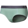 Dámské merino kalhotky SENSOR Df basil green (Barva zelená, Velikost XL)